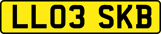 LL03SKB