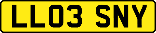 LL03SNY