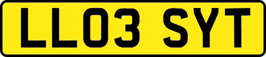 LL03SYT