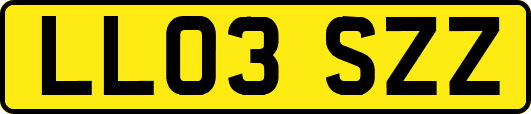 LL03SZZ