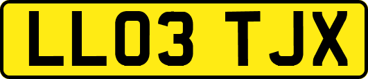 LL03TJX