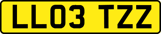 LL03TZZ