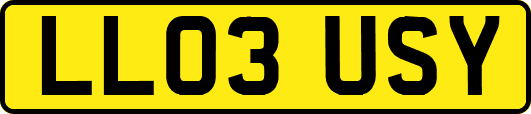LL03USY