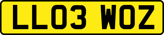 LL03WOZ