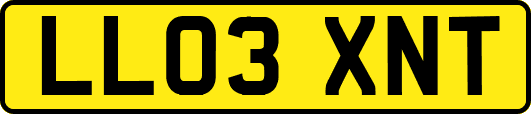 LL03XNT