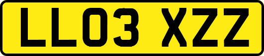 LL03XZZ