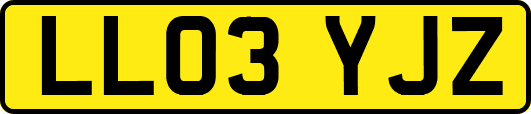 LL03YJZ