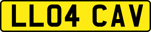 LL04CAV