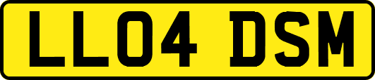 LL04DSM
