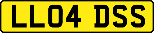 LL04DSS