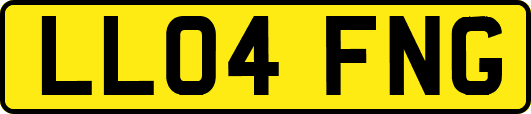 LL04FNG