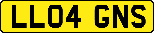 LL04GNS