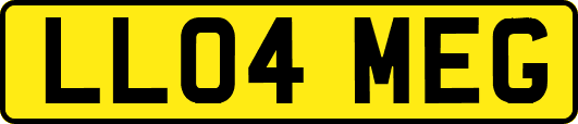 LL04MEG