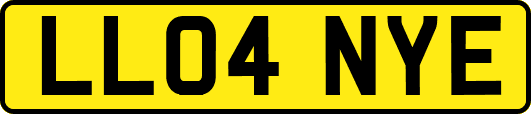LL04NYE