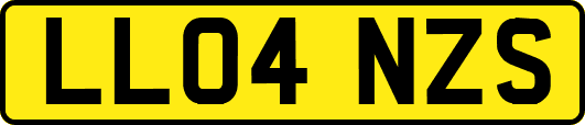 LL04NZS