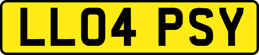 LL04PSY