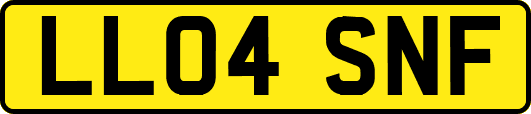 LL04SNF