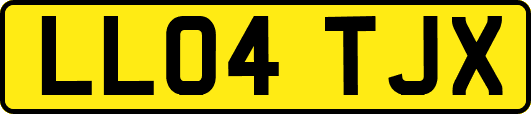 LL04TJX