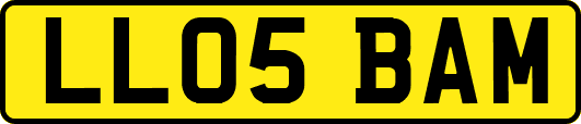 LL05BAM