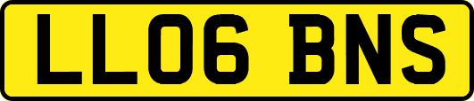 LL06BNS