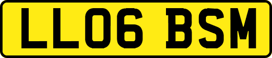 LL06BSM