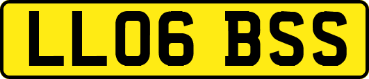 LL06BSS