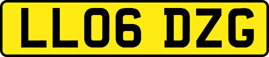 LL06DZG