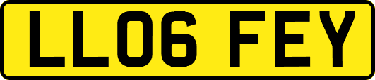 LL06FEY