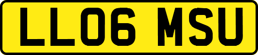 LL06MSU