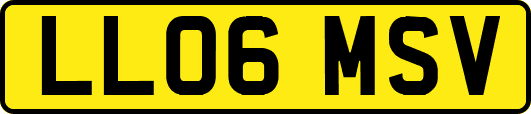 LL06MSV