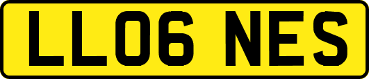 LL06NES