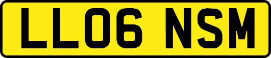 LL06NSM