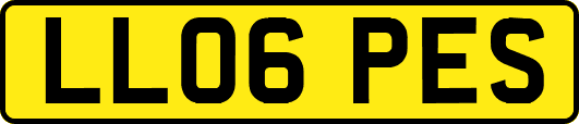LL06PES