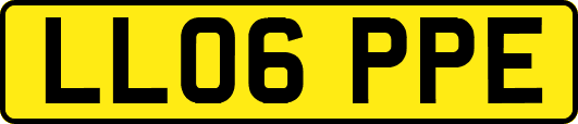 LL06PPE
