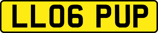 LL06PUP