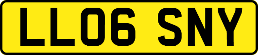 LL06SNY