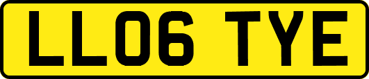 LL06TYE