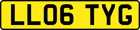 LL06TYG