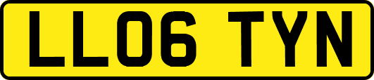 LL06TYN