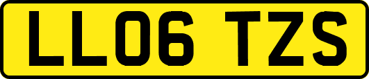 LL06TZS