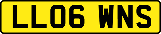 LL06WNS
