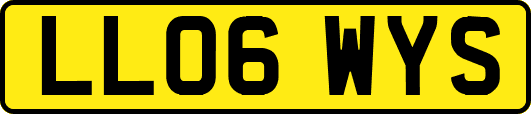LL06WYS