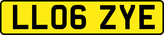 LL06ZYE