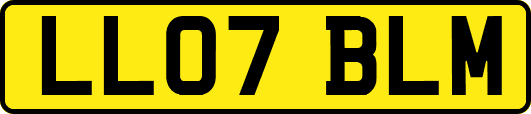LL07BLM