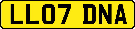 LL07DNA