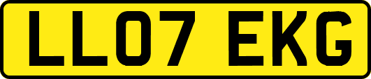 LL07EKG
