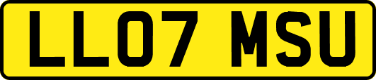 LL07MSU