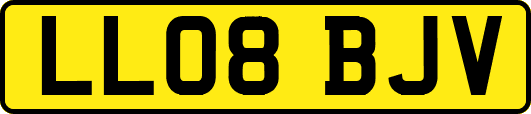 LL08BJV