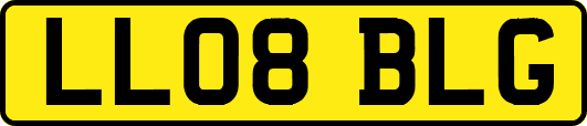 LL08BLG