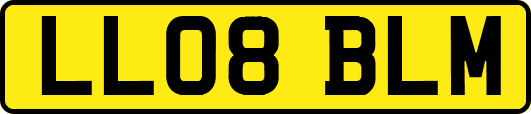 LL08BLM